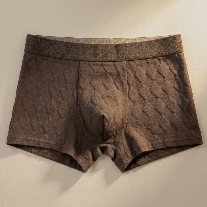 Ivan Cotton Boxer Brief