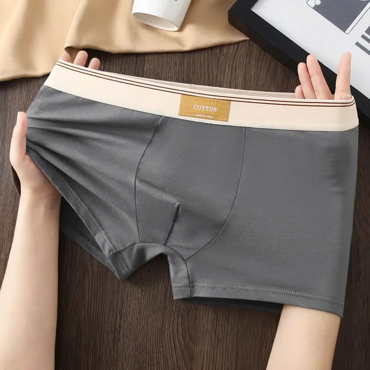 Alpine Cotton Boxer Briefs
