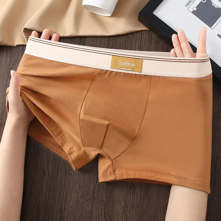Alpine Cotton Boxer Briefs