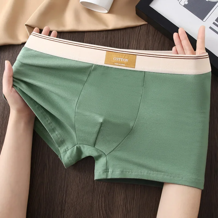 Alpine Cotton Boxer Briefs