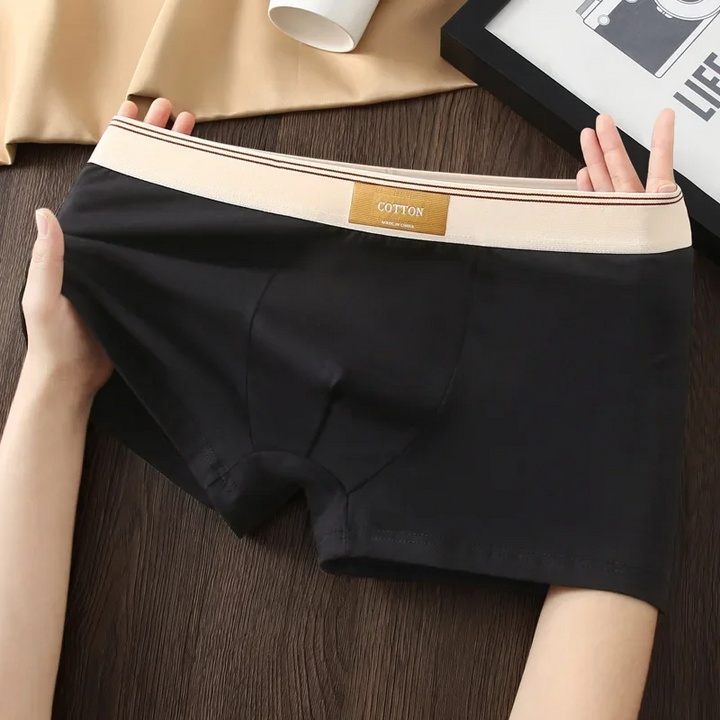 Alpine Cotton Boxer Briefs