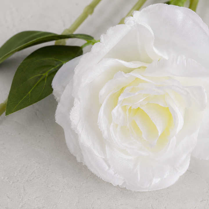 Anton Blooming Lisianthus Stem