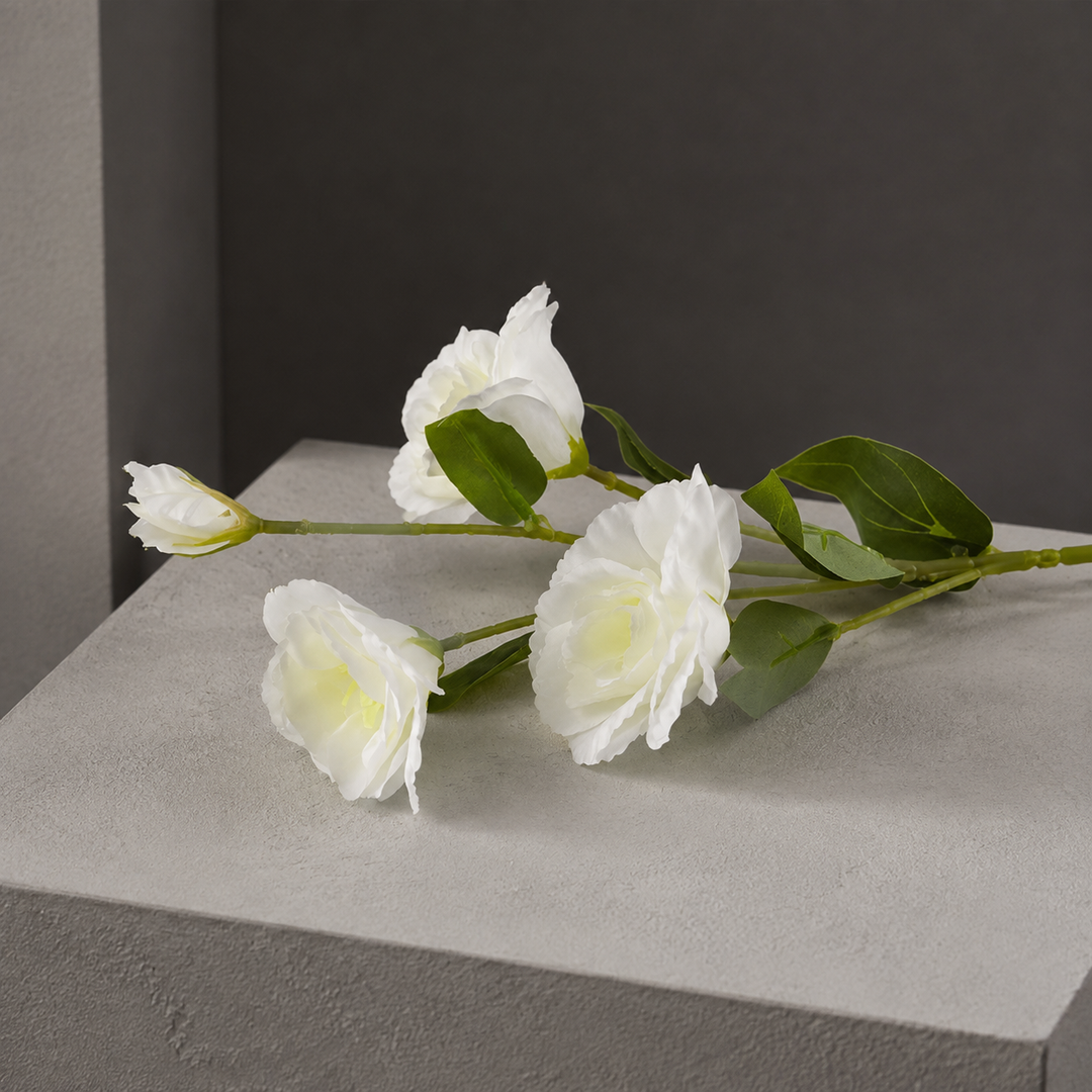 Anton Blooming Lisianthus Stem