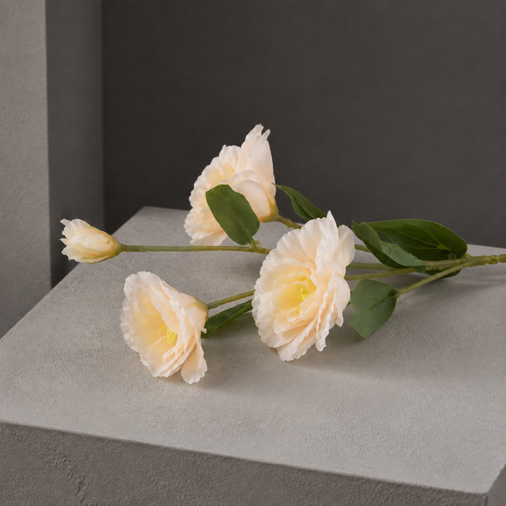 Anton Blooming Lisianthus Stem