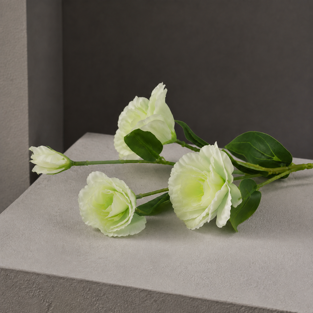 Anton Blooming Lisianthus Stem